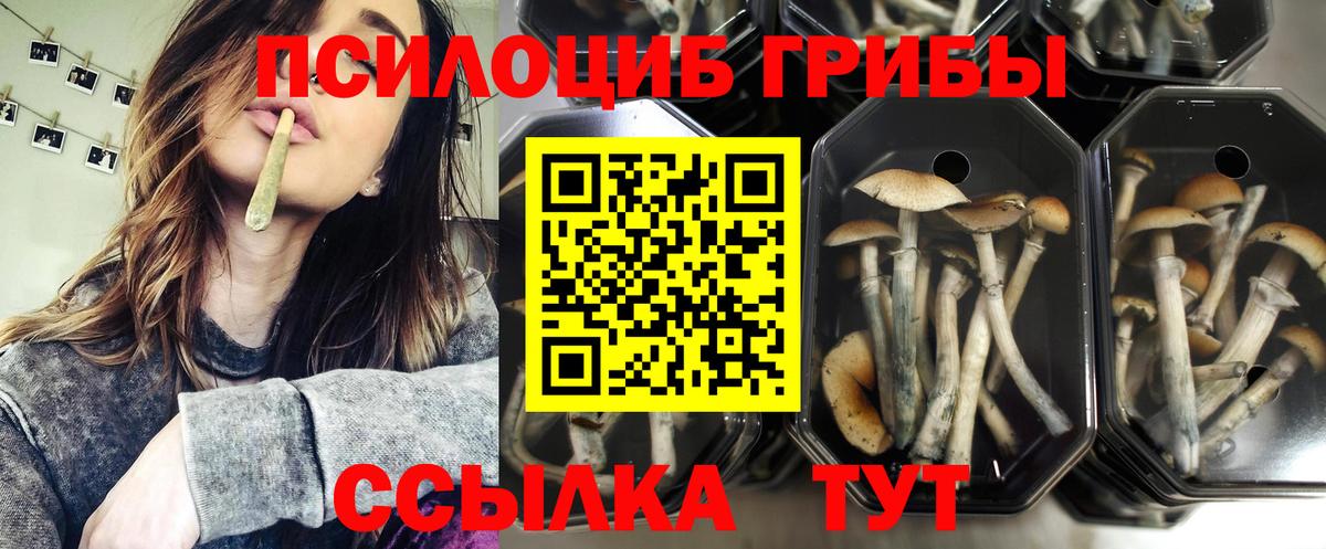 Галлюциногенные грибы MAGIC MUSHROOMS  Вход с VPN  Железногорск 